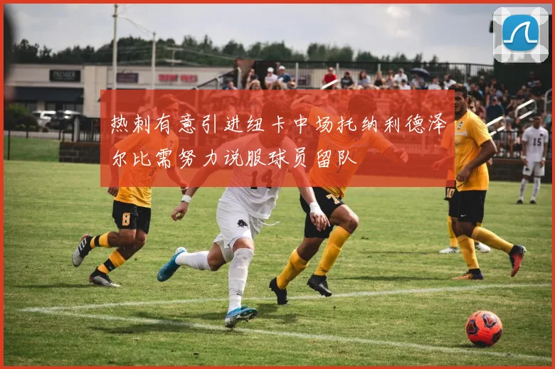 热刺有意引进纽卡中场托纳利德泽尔比需努力说服球员留队