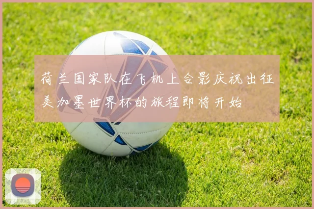 荷兰国家队在飞机上合影庆祝出征美加墨世界杯的旅程即将开始
