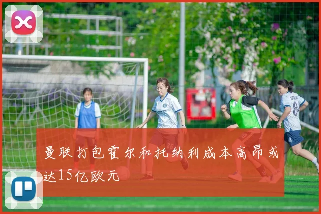 曼联打包霍尔和托纳利成本高昂或达15亿欧元