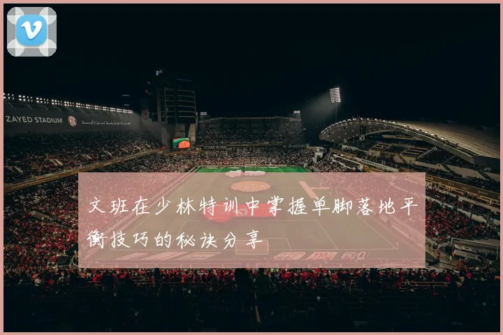 文班在少林特训中掌握单脚落地平衡技巧的秘诀分享