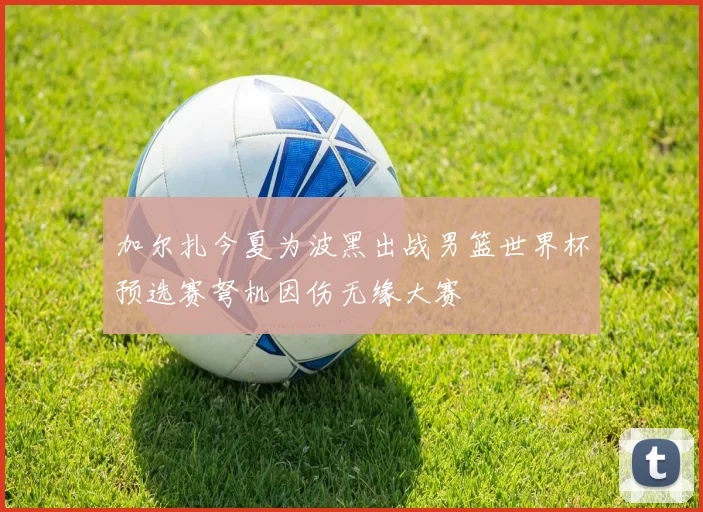 加尔扎今夏为波黑出战男篮世界杯预选赛弩机因伤无缘大赛